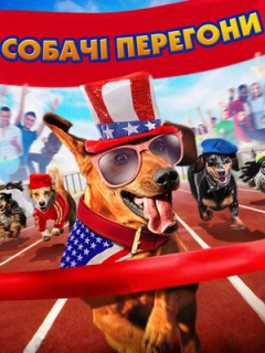Собачі перегони