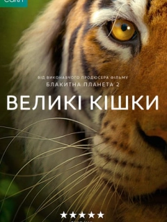 Великі кішки