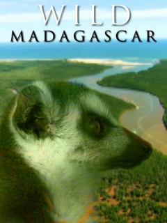 Дикий Мадагаскар