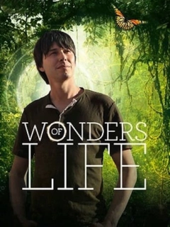 Дива життя