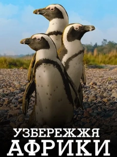 Узбережжя Африки