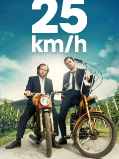 25 км/год