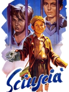 Чистильники взуття / Шуша
