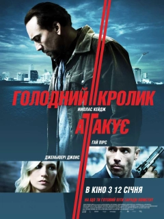 Голодний кролик атакує
