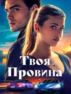 Твоя провина