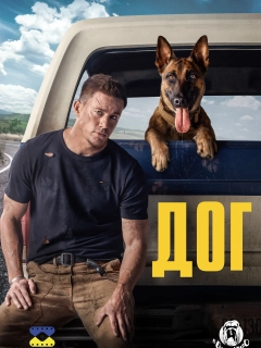 Дог