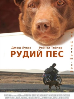 Рудий пес