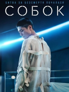 Собок