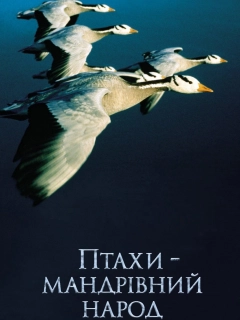 Птахи - мандрівний народ