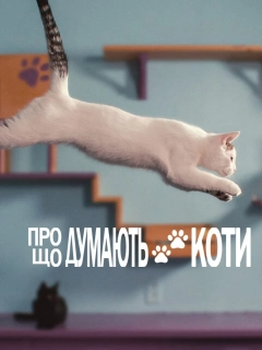 Про що думають коти