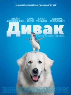 Дивак