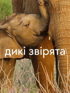 Дикі звірята