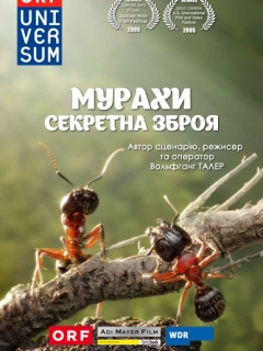 Мурахи - секретна зброя