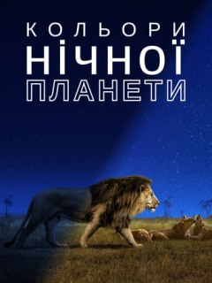 Кольори нічної планети