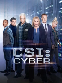 CSI: Кіберпростір