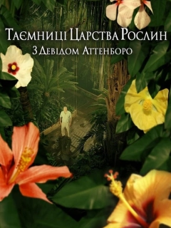 Таємниці царства рослин