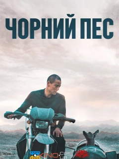 Чорний пес