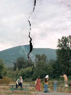 Блакитна чапля