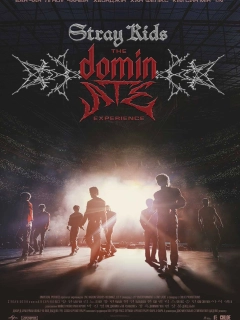 Stray Kids: Відчуй dominATE